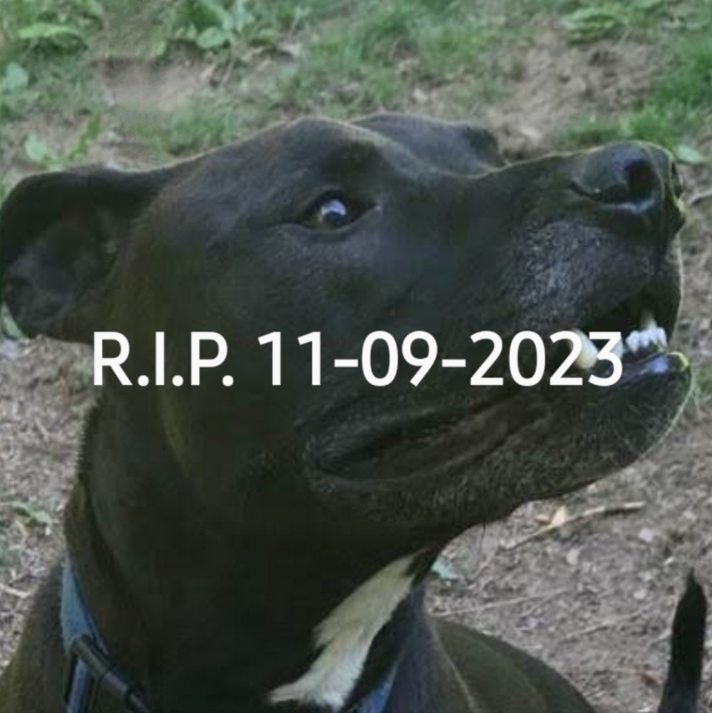 Tyson